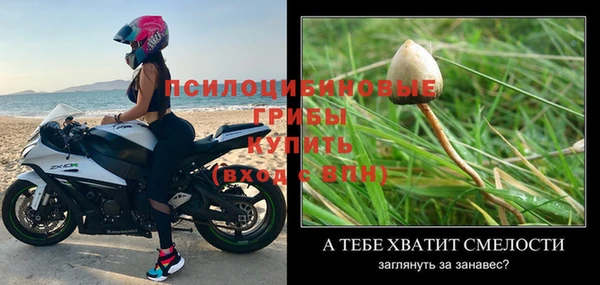 гидропоника Мегион