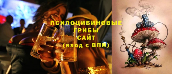 a pvp Медвежьегорск