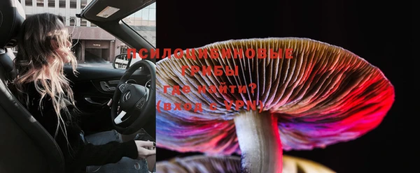 стафф Медногорск